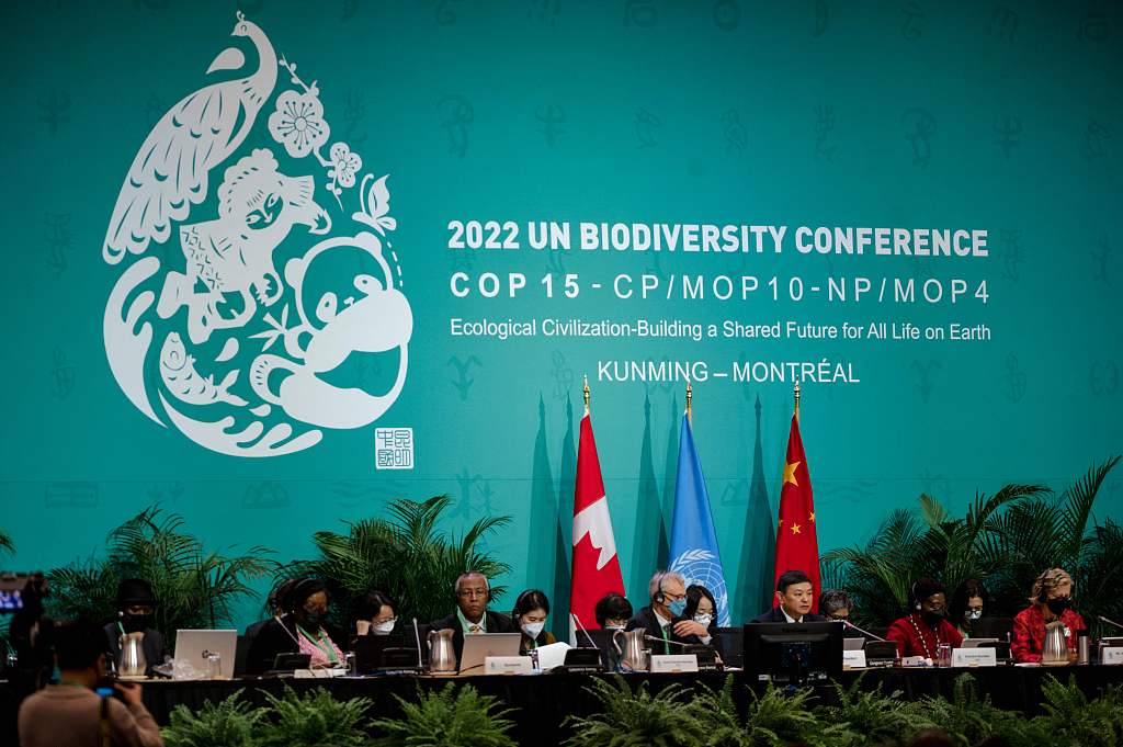 Delegates prepare for the United Nations Biodiversity Conference (COP15) opening plenary in Montreal, Canada, December 7, 2022. /CFP