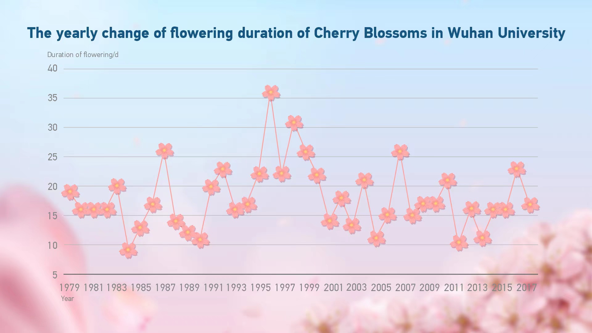 The yearly change of flowering duration of cherry blossoms in Wuhan University and its linear fitting (1979—2018). /Tan Jing