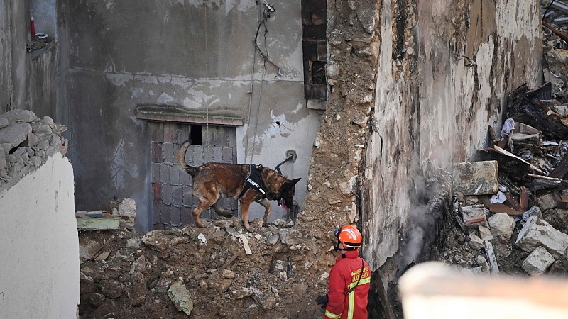 A firefighter and a dog search for victims in the rubble at 