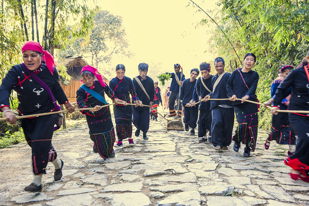 Villagers pull part of a tree trunk that will be used to make the wooden drum. /CFP