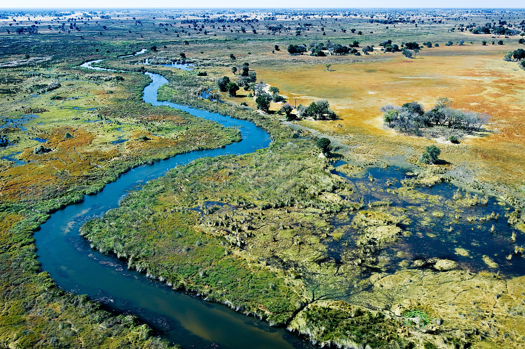 The wetland scenery of Okavango Delta in Botswana. /VCG