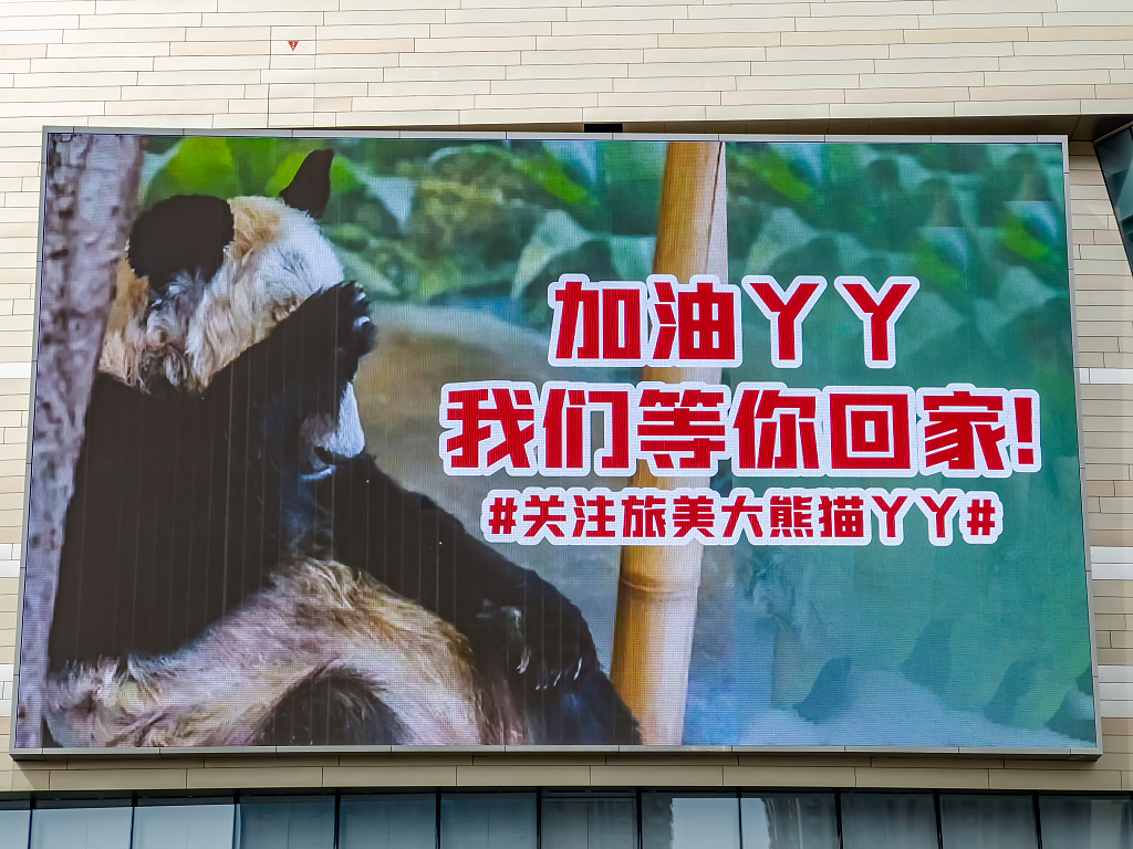 A poster outside a shopping mall in Zhengzhou, Henan shows a recent picture of Ya Ya, expressing Chinese people's desire for her to be returned to China as soon as possible. /CFP