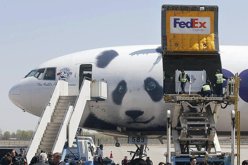 Ya Ya and Le Le are loaded onto the FedEx Panda Express, a custom-decaled MD-11 jet on the tarmac of Beijing's Capital Airport, for a trans-Pacific journey to Memphis, U.S., on April 7, 2003. /CFP