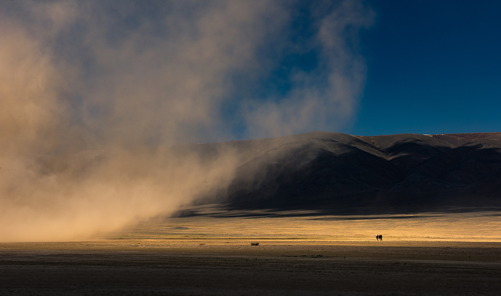 The dust from southern Mongolia was supplemented and strengthened along the way as it passed through arid and semi-arid areas in north China. /VCG