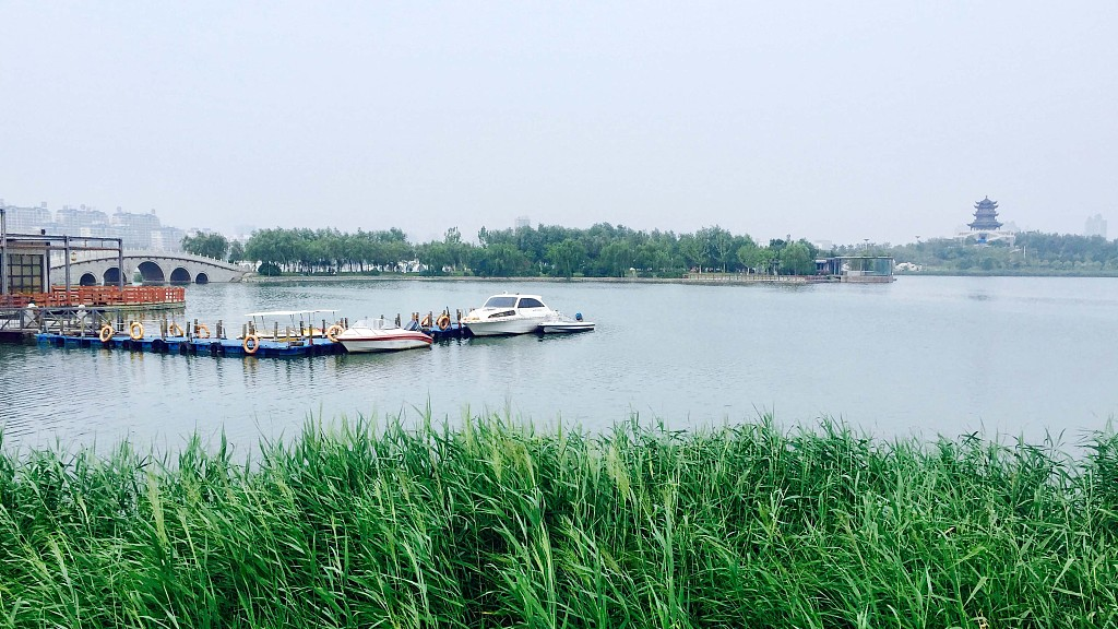 Live: Enjoy the Yellow River in spring in east China – Ep. 2