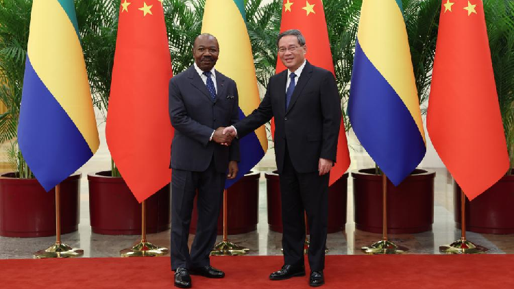 China to work for common development, promote ties with Gabon: premier ...