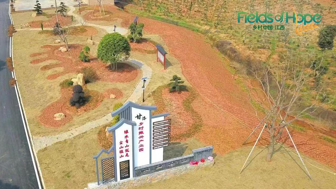 Live: Experience the beauty of early rice planting in Jiangxi - CGTN