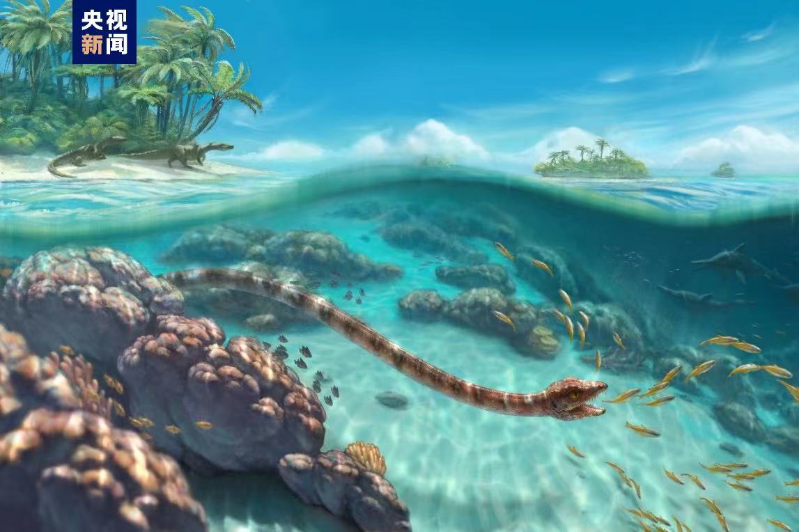 triassic marine animals