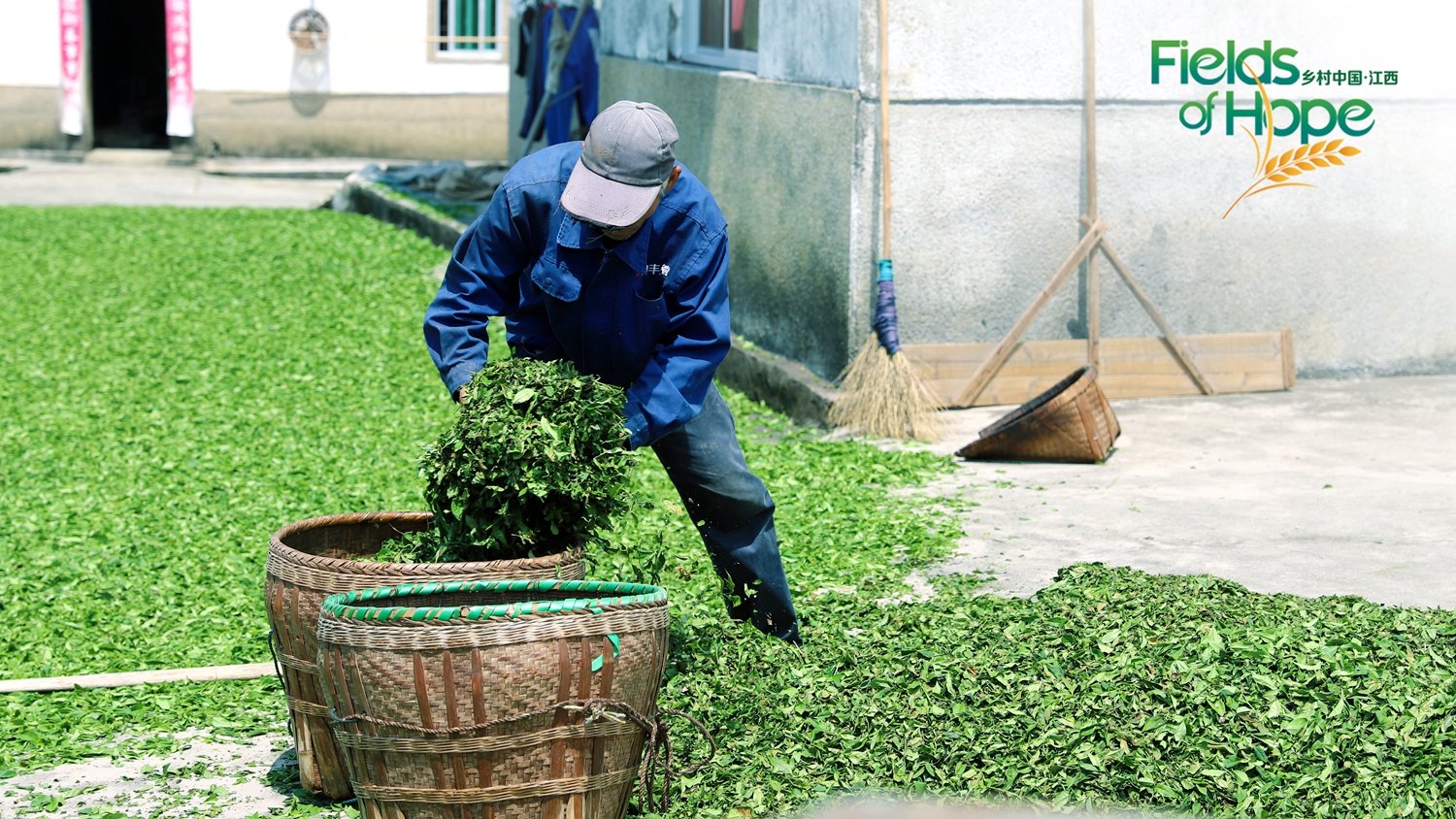 The solar term Guyu signals the end of spring. At this time of year, local tea farmers are busy harvesting the leaves before placing them outside to bask and dry in the warm sunshine. /CGTN