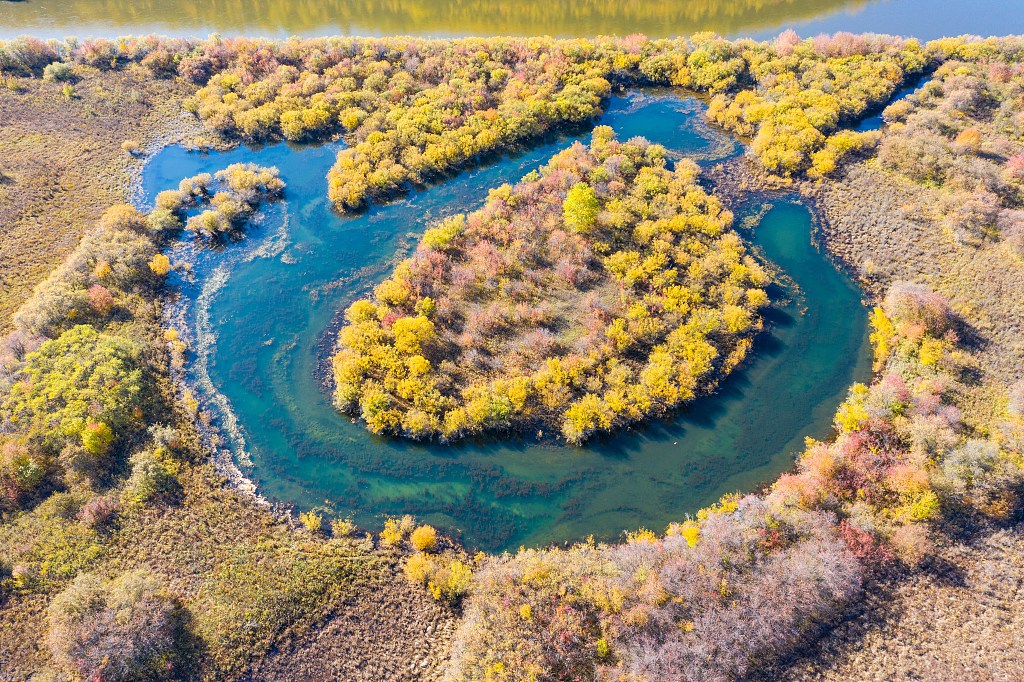 Autumn scenery of Ergun National Wetland Park /CFP