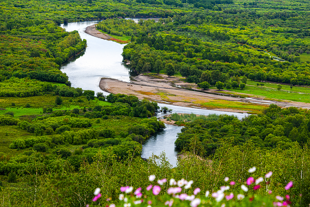 Waterways cut through Ergun National Wetland Park in Inner Mongolia amid lush forests and foliage. /CFP