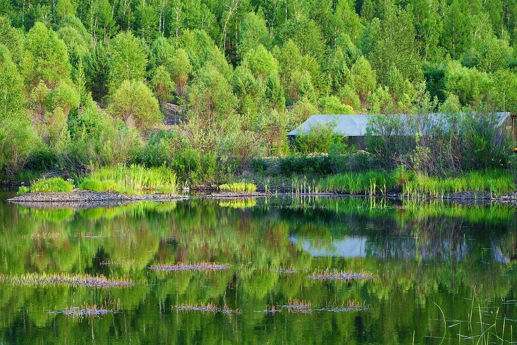 Ergun National Wetland Park is a natural oxygen bar. /CFP