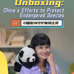 Unboxing: China's Efforts To Protect Endangered Species - CGTN