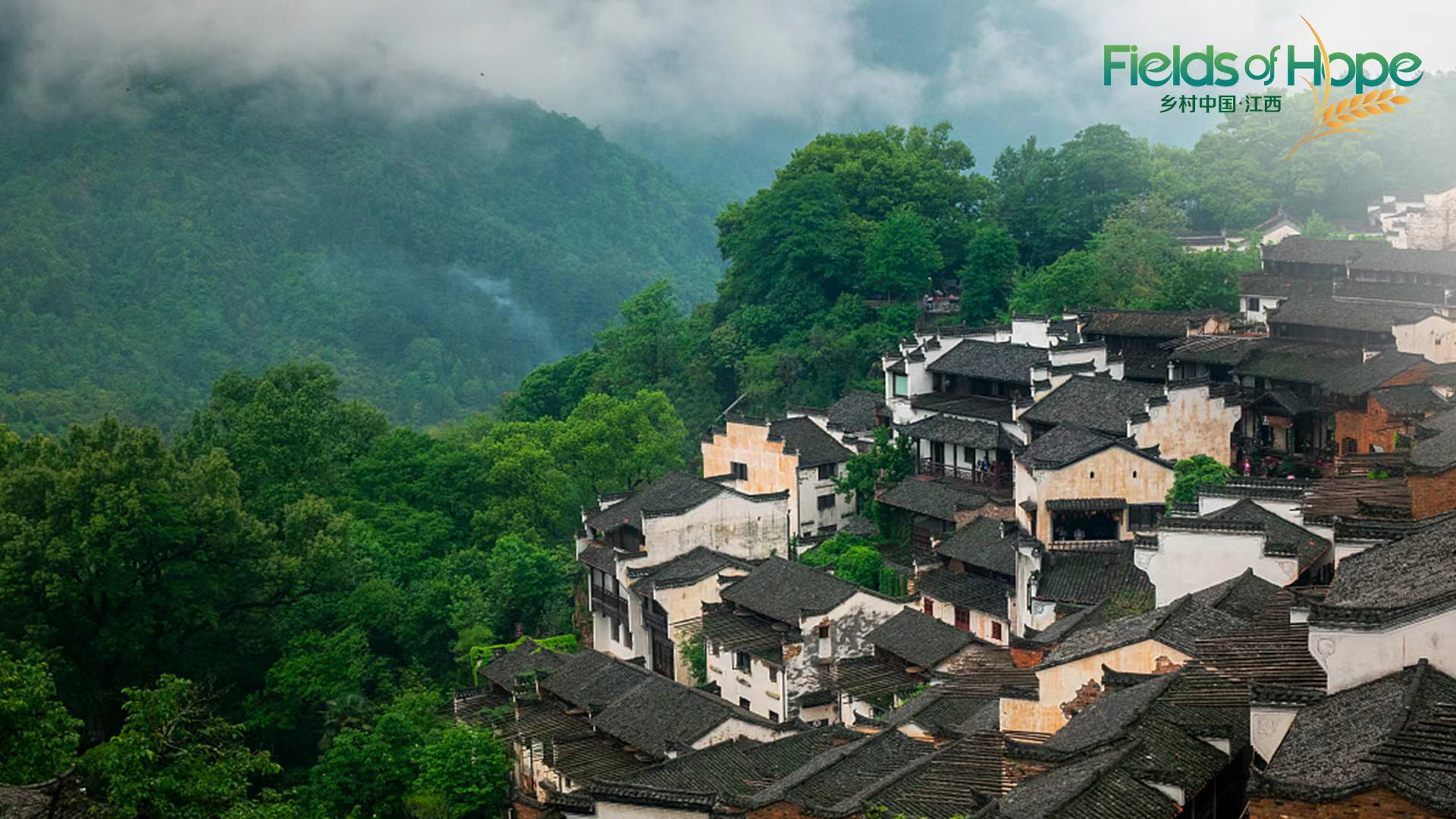 Live: A glimpse of Huangling Village, a pearl enveloped by lush mountains – Ep. 2
