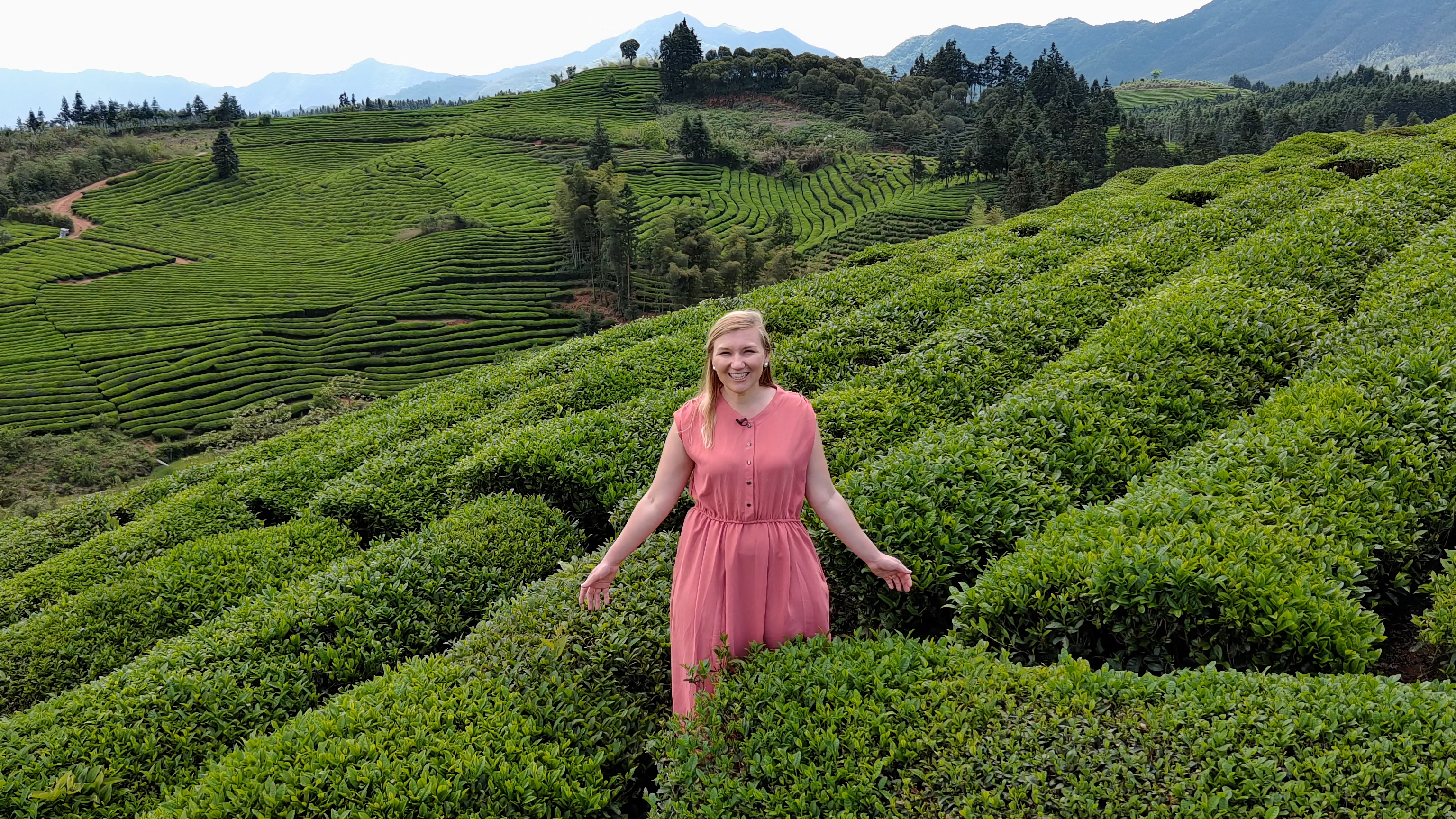 Shiziyuan Tea Garden empowers rural revitalization in Jingdezhen