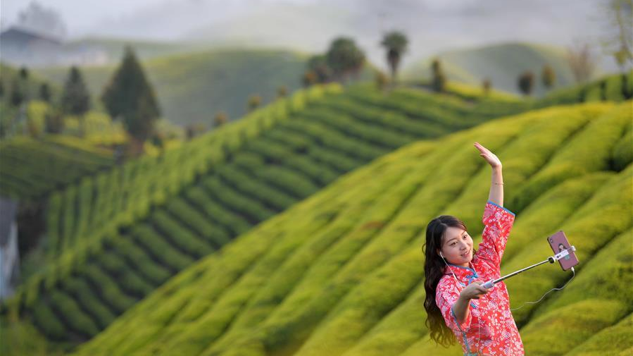 A tea plantation staff presents the scenery of tea gardens via live stream in Hefeng County, central China's Hubei Province, April 8, 2020. Local tea producers collaborate with e-commerce platform to boost tea sales in Hefeng. /Xinhua