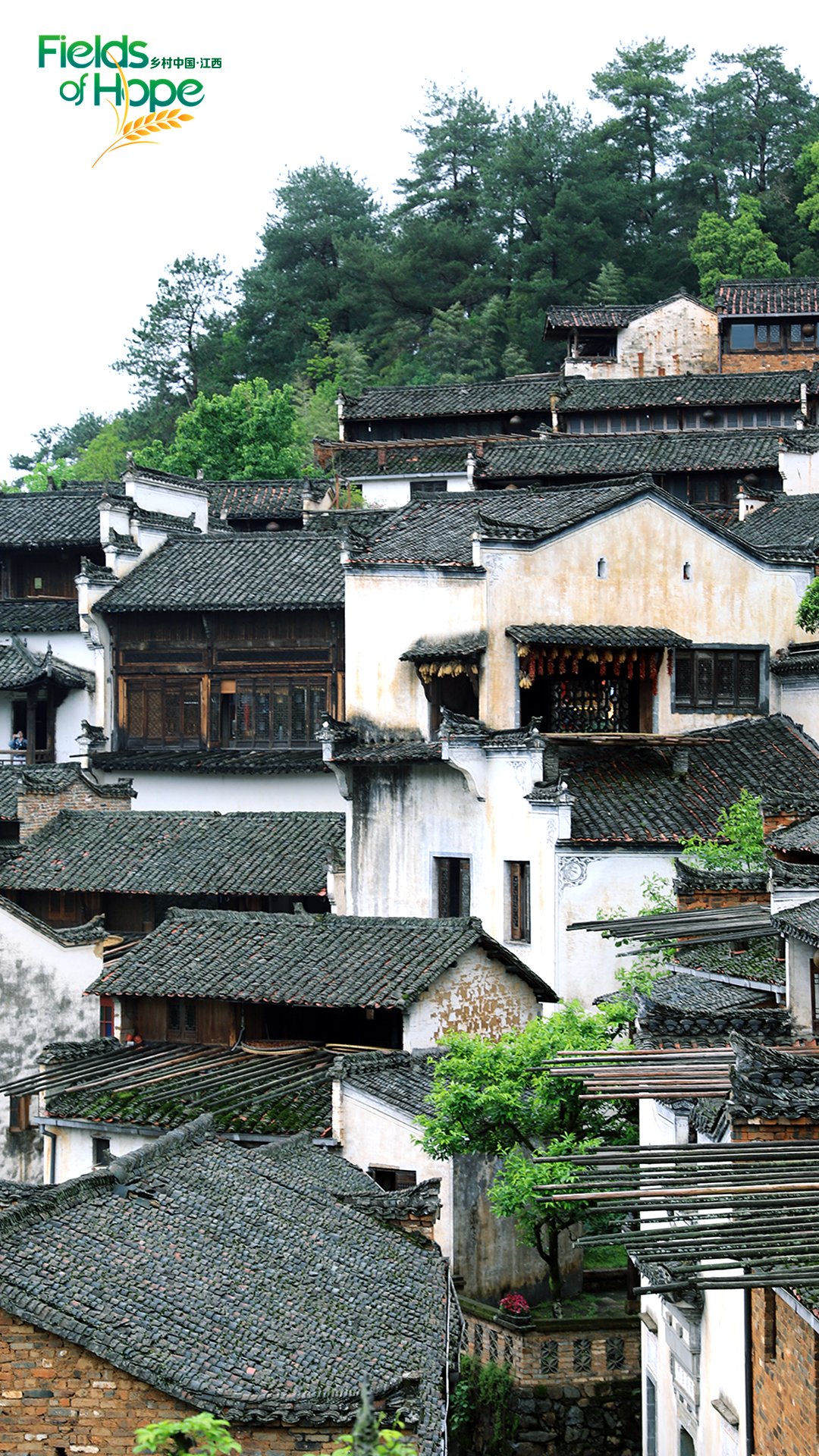Surrounded by mountains and creeks, Huangling village and its ancient architectural complex stand in a beautiful natural environment in Wuyuan County, Jiangxi Province, April 24, 2023. /CGTN
