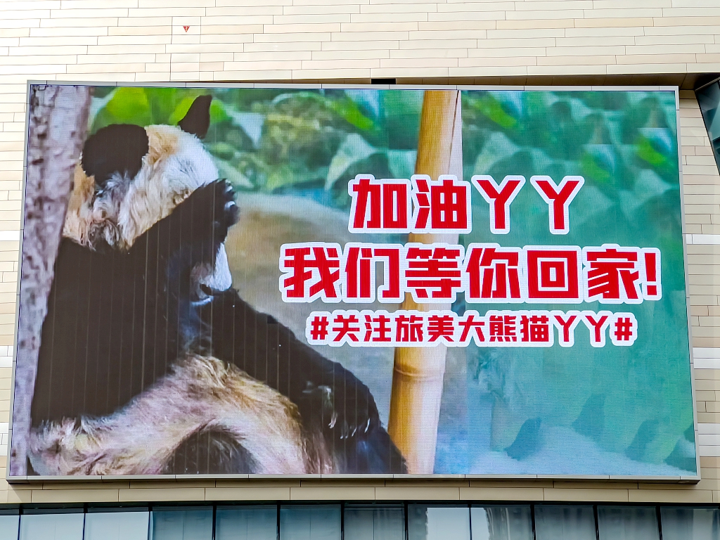 A poster at a shopping mall in Zhengzhou heralds Ya Ya's arrival. Excitement built up in China ahead of the 23-year-old panda's return. /CFP