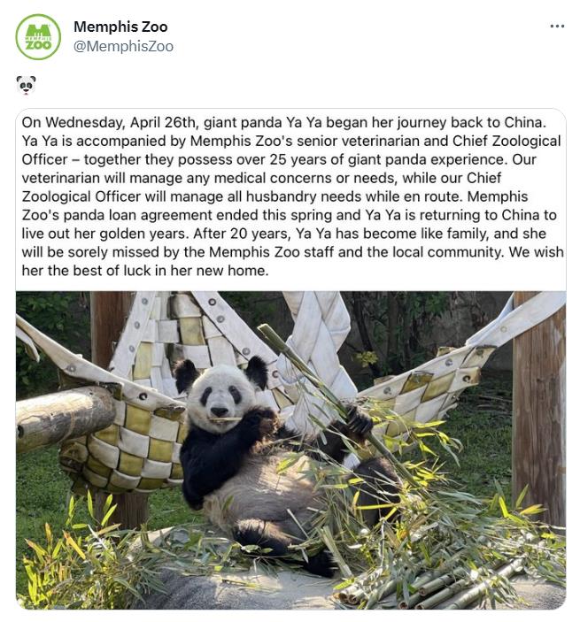 Memphis Zoo bids farewell to Ya Ya on Twitter. /CGTN