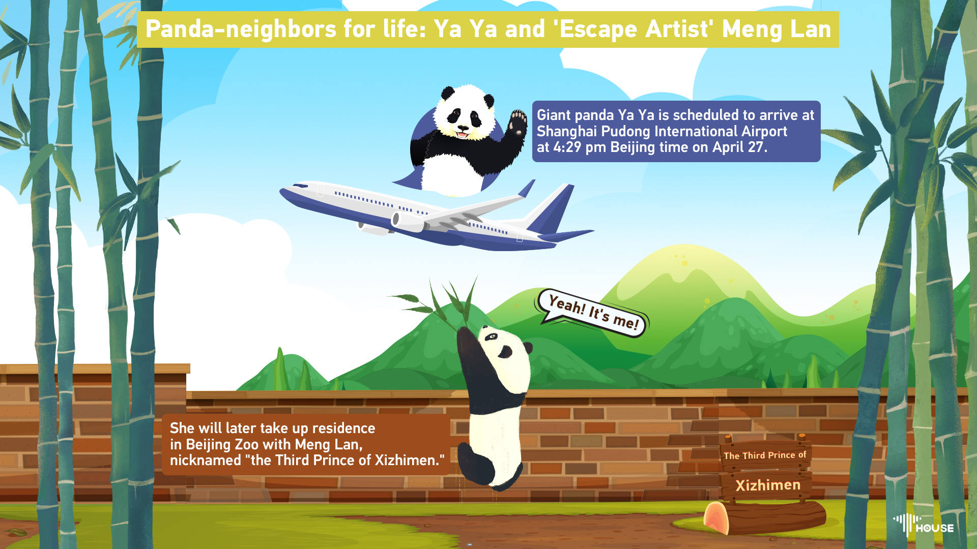 Panda-neighbors for life: Ya Ya and 'Escape Artist' Meng Lan