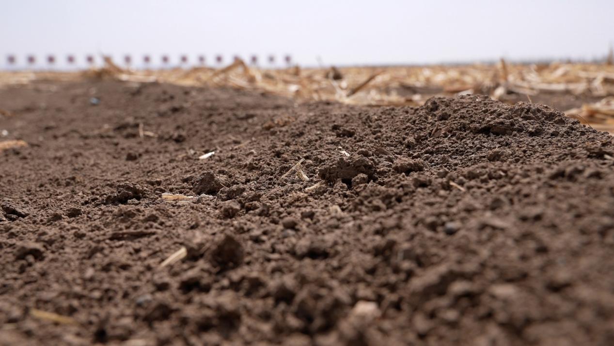 It takes 200 to 400 years to form just 1 cm of black soil - the most fertile land, but only a few decades to destroy it, according to research. /CGTN