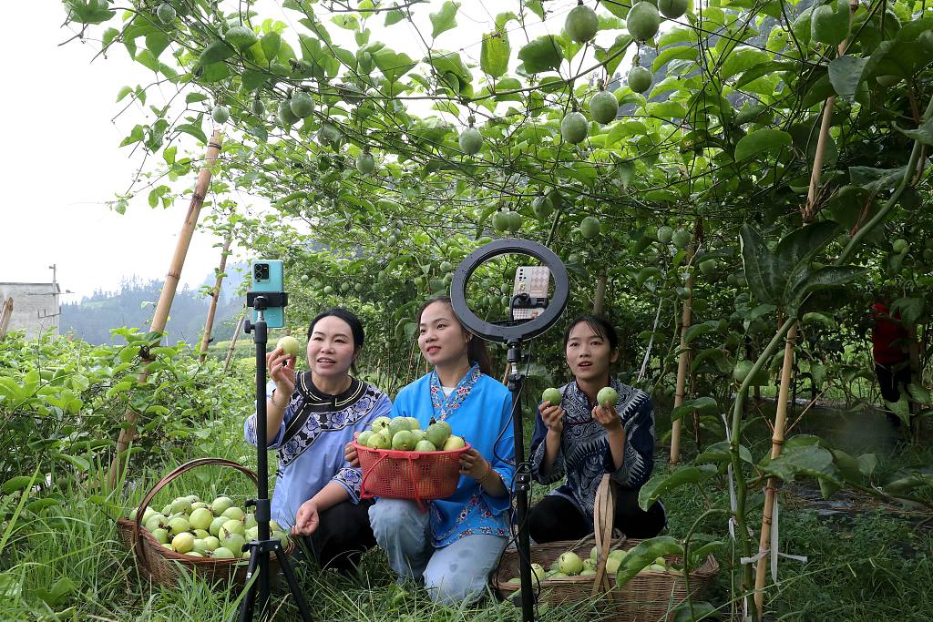 Farmers market local apples via a livestream in Qiandongnan Miao and Dong Autonomous Prefecture, southwest China’s Guizhou Province, August 31, 2022. /CFP