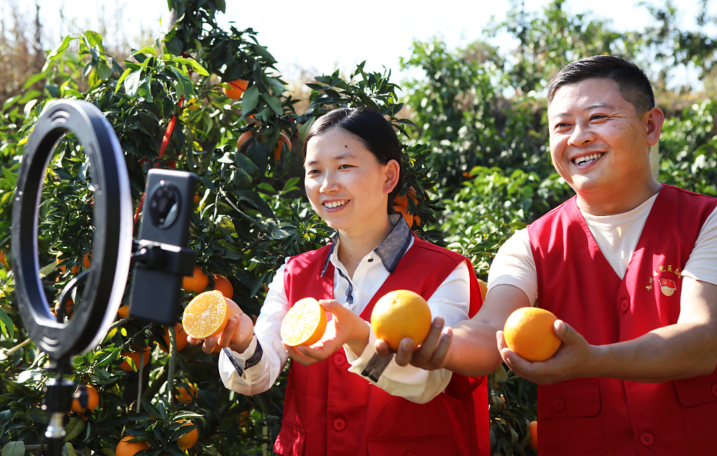 Volunteers help sell local oranges via a livestream in Yichun, Jiangxi, November 12, 2022. /CFP