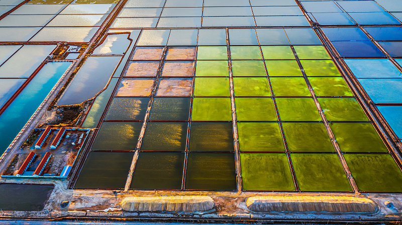 Nature transforms a salt farm in Shandong's Weifang into a giant palette, painting colorful patterns on the field to create some stunning bird's-eye views. /CFP