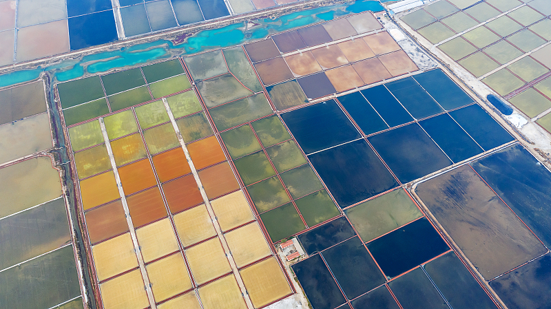Nature transforms a salt farm in Shandong's Weifang into a giant palette, painting colorful patterns on the field to create some stunning bird's-eye views. /CFP