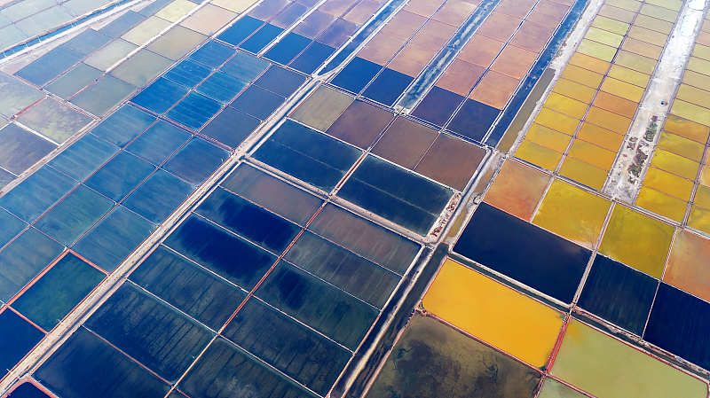 Nature transforms a salt farm in Shandong's Weifang into a giant palette, painting colorful patterns on the field to create some stunning bird's-eye views. /CFP