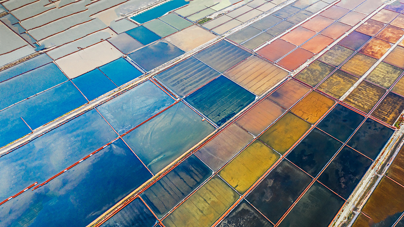 Nature transforms a salt farm in Shandong's Weifang into a giant palette, painting colorful patterns on the field to create some stunning bird's-eye views. /CFP