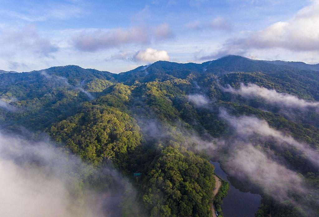 Hainan Tropical Rainforest National Park. /VCG