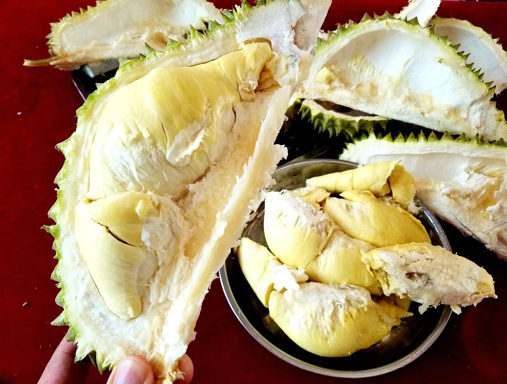 Sanya is ready to harvest domestically cultivated durians this summer. /Photo provided to CGTN