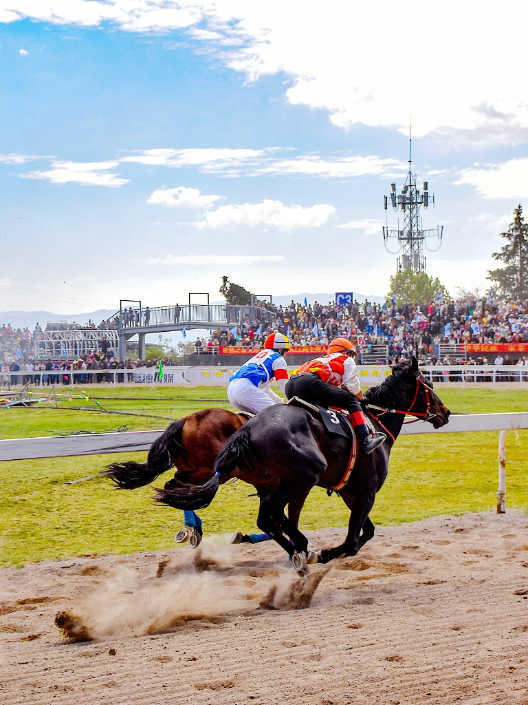 Horses from across China gallop on a racecourse in Dali, Yunnan during the Third Month Fair. /CFP