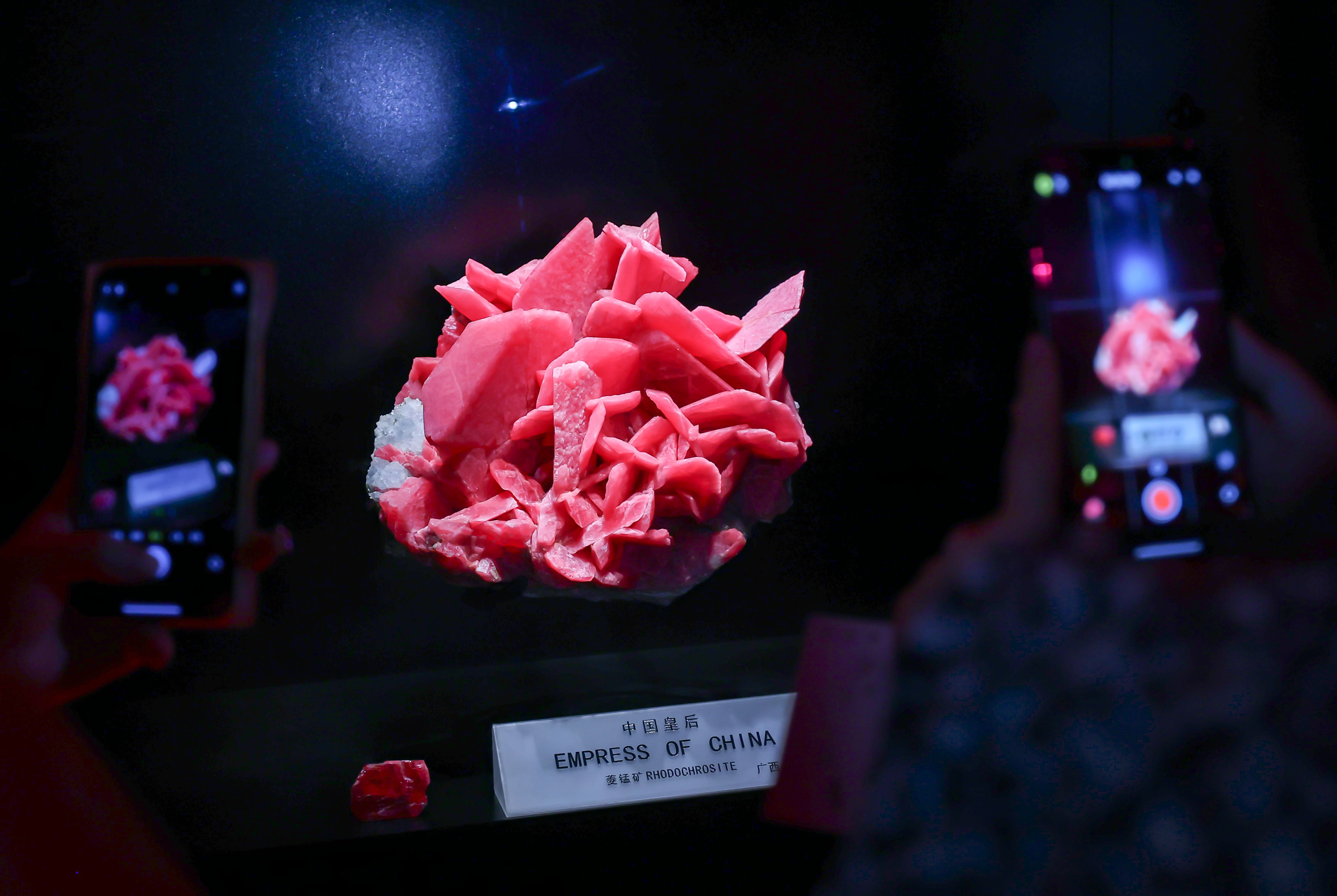 A rhodochrosite sample named Empress of China is shaped as a blooming rose. /CNSPHOTO