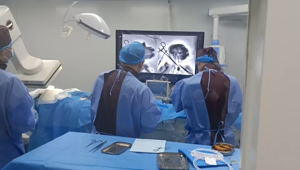 The research team conducts the interventional BCI experiment on non-human primates. /Nankai University