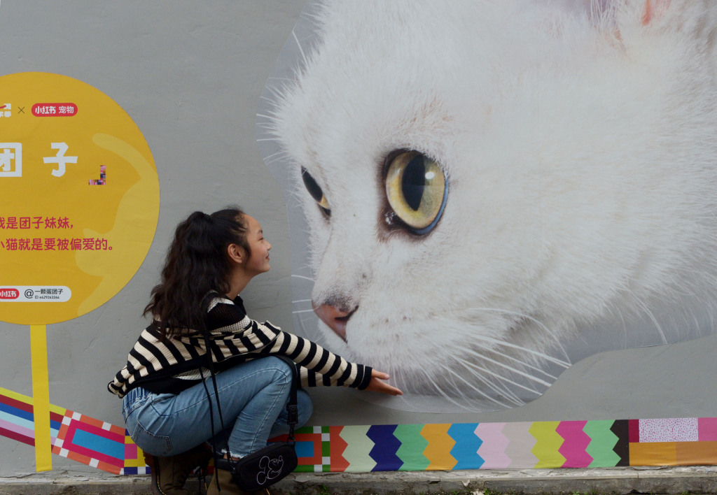 Cat-themed street paintings are photographed at a road in Shanghai on May 6, 2023. /CFP
