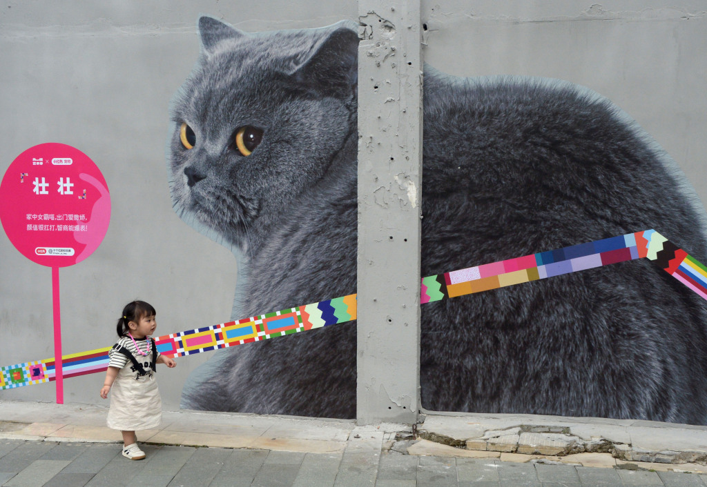 Cat-themed street paintings are photographed at a road in Shanghai on May 6, 2023. /CFP