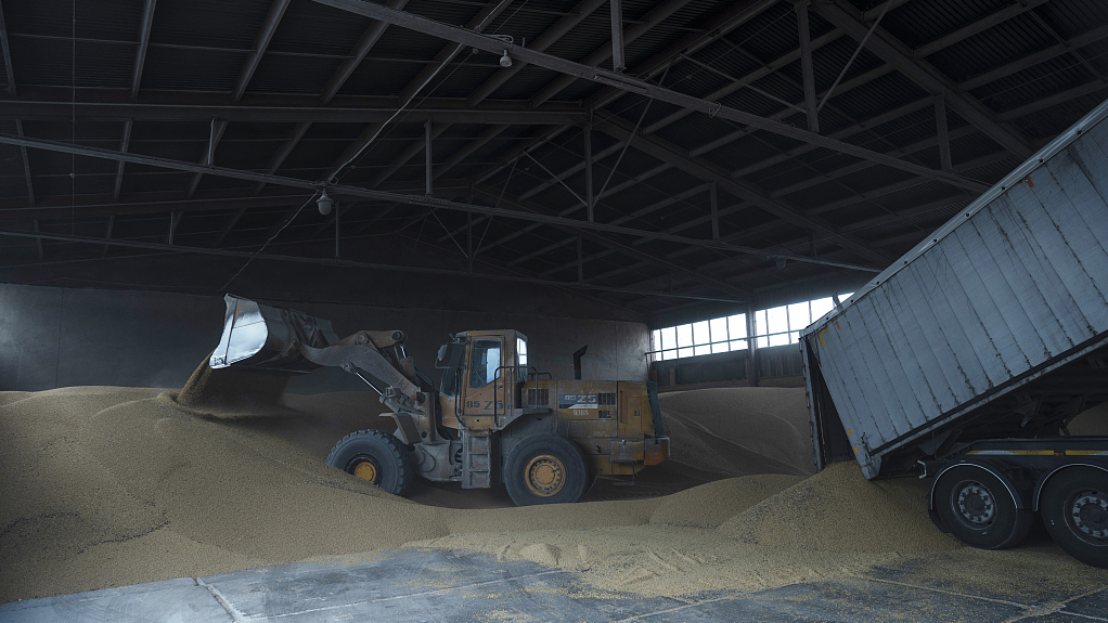 A truck unloads grain at a grain port in Izmail, Ukraine, Wednesday, April 26, 2023. /CFP