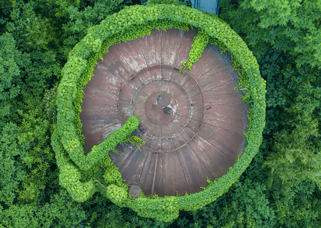 A row of abandoned oil tanks by a canal are covered in climbing plants, looking like they are draped in a green coat, in Huai'an, Jiangsu, on May 9, 2023. /CFP