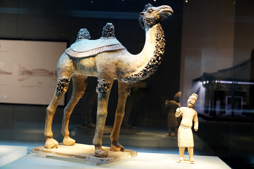 Camels are among the terracotta figurines unearthed from Daming Palace in Xian, Shaanxi. /CFP