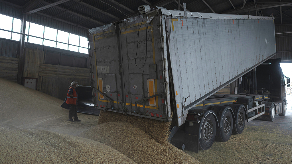 A truck unloads grain at a grain port, which is important in bringing Ukrainian grain exports to the world, in Izmail, Ukraine, April 26, 2023. /CFP