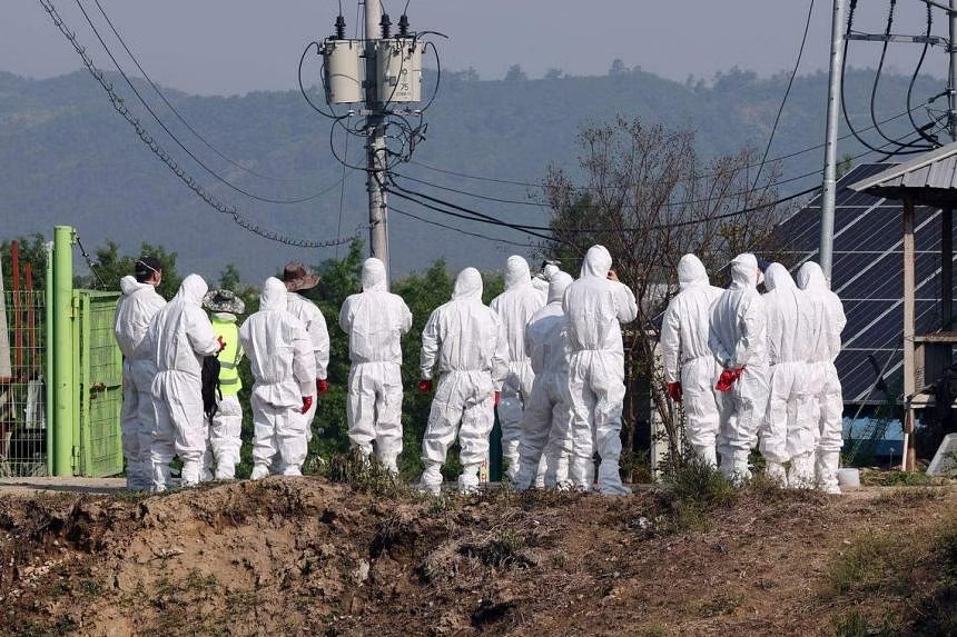 A biosecurity team in North Chungcheong province, south of Seoul. South Korea. May 7, 2023. /Reuters