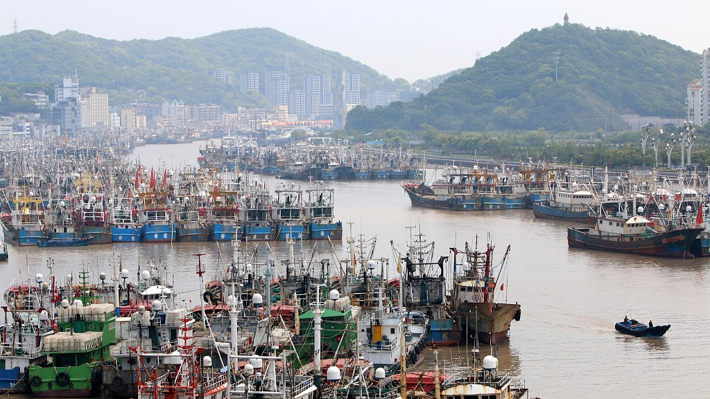 Live: China's largest fishing port and distributing center for aquatic produce