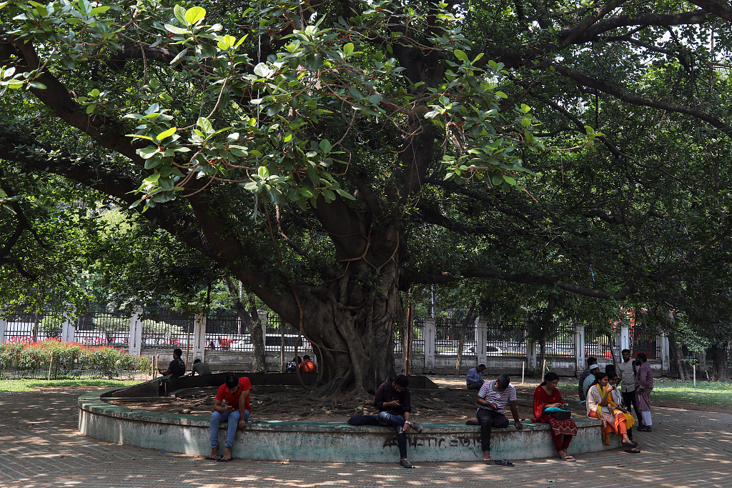 Pedestrians sit under a tree during high temperatures in Dhaka, Bangladesh, May 10, 2023. /CFP