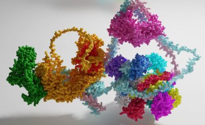 A 3D model of the Commander complex proteins. /University of Queensland