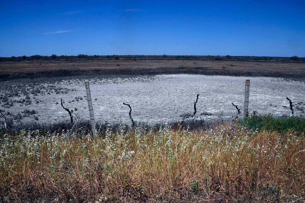 A dry pond at the Donana National Park in Aznalcaraz, southern Spain,  May 11, 2023. /CFP