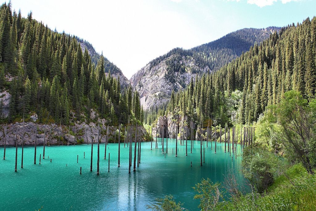 Nestled in the forests of the Tianshan Mountains, Kazakhstan's Lake Kaindy has a sunken forest that was created by an earthquake in 1911. /CFP