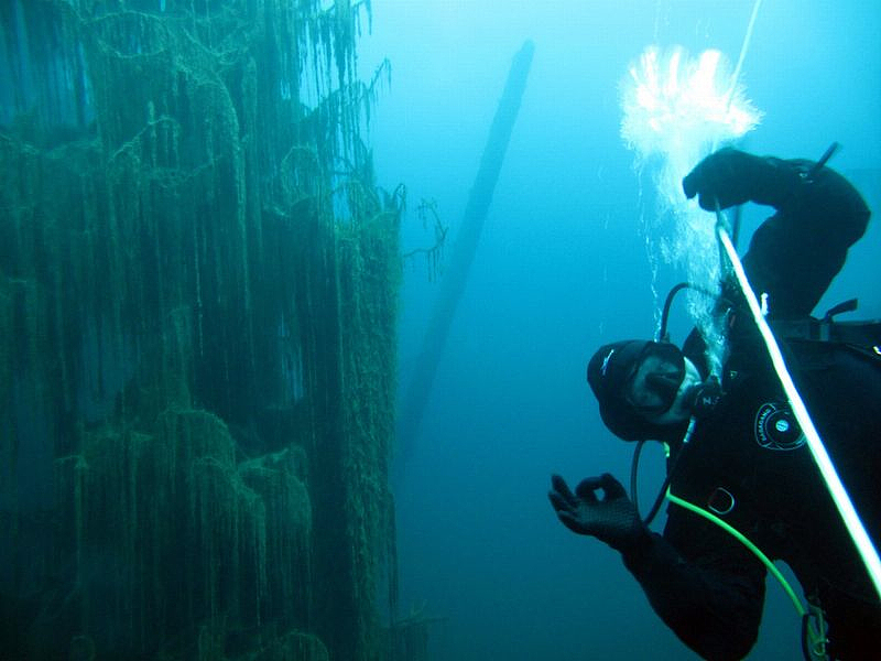 Kazakhstan's Lake Kaindy lures many divers to explore the surreal underwater world. /CFP