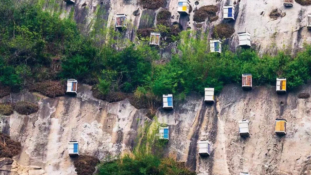 Miyun, the home of the Oriental Honeybee